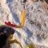 This Simple Lure Always Catches Fish Fishing Surffishing Montauk