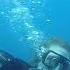 SCUBA DIVE Drift Diving West Palm Beach Florida