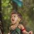Desh Bhakti Song Indanarmy Armylover Shorts Viralshorts Status
