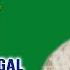 Hum Ke Thehre Ajnabi Shubha Mudgal Album Ankahi