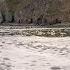 Russia Launches Criminal Investigation Into Unexplained Sea Pollution In Kamchatka Peninsula