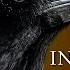 10 Odd And Interesting Facts About Crows And Ravens North America