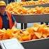 How It S Made Food How Doritos Cheese Chips Are Made In Factories Us Nachos Production Process Us