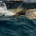 CATCHING GIANT BLUEFIN TUNA IN AUSTRALIA
