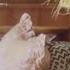 Rita Konig S Key To The Perfect Sitting Room