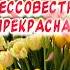 С 8 марта поздравления от души и