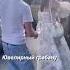 Корону тебе куплю Shorts Rek Fyp Yt Like
