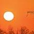 Sonnenaufgang Zwischen Donauwörth Und Augsburg In Dunkles Orange Bis Rot Färbt Sich Der Himmel