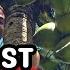 This Is The First Coconut Tree I Ever Climbed