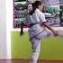 Escuela De Artes Marciales Forma De Animales Tai Yon Kung Fu