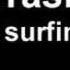 The Trashmen The Surfin Bird