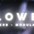 NBSPLV The Lost Soul Down But Slowed Reverb Modulated