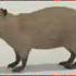 Капибара фонк Capybara Phonk Best Shortvideo Capybara Phonk