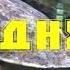Москвариум ВДНХ Москва