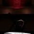 Behind The Lobby Shorts Roblox Doors