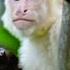 Wild Costa Rica Full Episode The Living Edens Nat Geo Animals