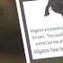 Man Used Life Vest To Fend Off Alligator Attack At Lake Kissimmee State Park