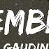 Alex Gaudino Bottai Remember Me Lyrics Feat Moncrieff Blush 20 MIN