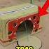 DIY Bird Trap