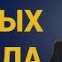 Правила инвестирования Уоррена Баффета Правила богатства