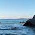 Serene Sea Views Relax And Unwind