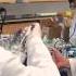The University Of Chicago Medicine World Class Digestive Disease Care