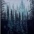 Twilight Evergreen Painting Artworks