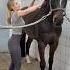 Hurry Up Finn Which Type Are You I M Usually The Slower One Haha Horse Equestrain Short