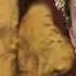 Dub W Me The Other Boleyn Girl Trailer Anne Fandub Ready