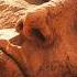 Unexplained Ancient Structures On Mars What Are They Hiding