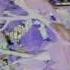 PLANET B E N Trippy Future Garden II