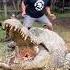 Henry The Nile Crocodile Viral Shorts