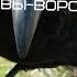НЕРВЫ Вороны COver на гитаре