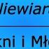 Niewiara Piękni I Młodzi Karaoke Cover