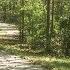 Mental Health Benefits Of Getting Outside