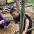 Orphan Boy Cut Bamboo To Make A Pigsty And Take Care Of The Vegetable Garden With His Grandmother