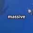 Dive Into A Blue Whale S Heart