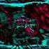 MDK Ft Nick Sadler Phoenix In G Major 1210