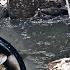 Tip Top Ta Ka Khwai Piet Wut Lok Wah Khynriem River Fishing