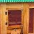 Pigeon Wooden Coop حمامة Kalapati Güvercin Merpati کبوتر Racingpigeon Homingpigeon