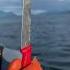 We Re Here For The Sweet Sounds Of Alaska Grown Kelp Crunching Cut Turned Into Our Fav Foods