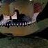 SFM FNAF I Always Come Back Short