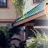 Tony Jaa How The Best Thai Martial Arts Actor Lives And How He Spends His Millions