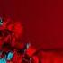 BARONESS Seasons OFFICIAL