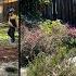 Extreme DIY BACKYARD MAKEOVER BEFORE AFTER Transformation