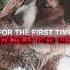 Buck Didn T Deserve This The Call Of The Wild Edit Камин EMIN JONY Slowed Reverb