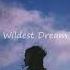 Wildest Dream Shalom Margaret Cover Lofi Remix