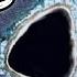 Top 10 Censored Places On Google Earth You Were Never Meant To See