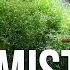 Avoid THESE Pitfalls Mistakes When Setting Up Your Saltwater Aquarium S Refugium