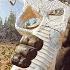 This Is The Warzone Mouse And Keyboard Experience